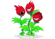 Carnivorous Plants