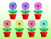Magic Flowers Taxonomy