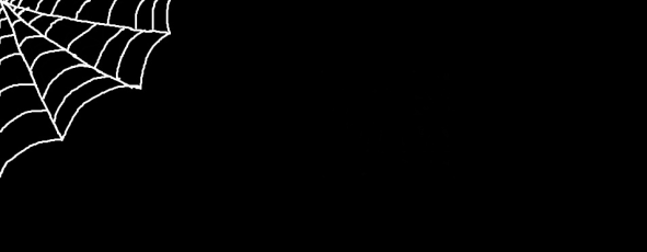 Spider Web Wallpaper