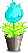 Poterant Flore
