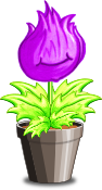 Poterant Flore
