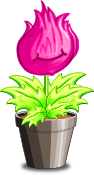 Poterant Flore