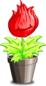 Poterant Flore