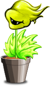 Poterant Flore