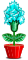Cravos Abrilus