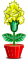 Cravos Abrilus