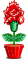 Cravos Abrilus