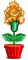 Cravos Abrilus